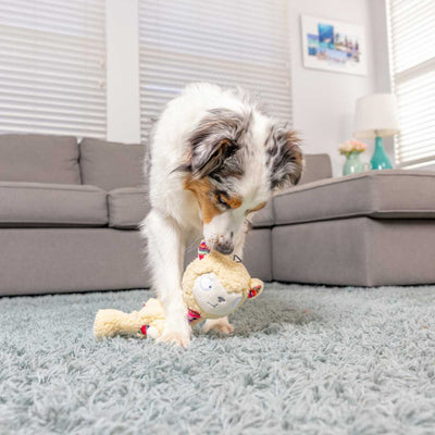 Shama Liama Plush Dog Toy | Pawlicious & Company