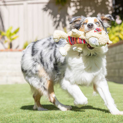 Shama Liama Plush Dog Toy | Pawlicious & Company