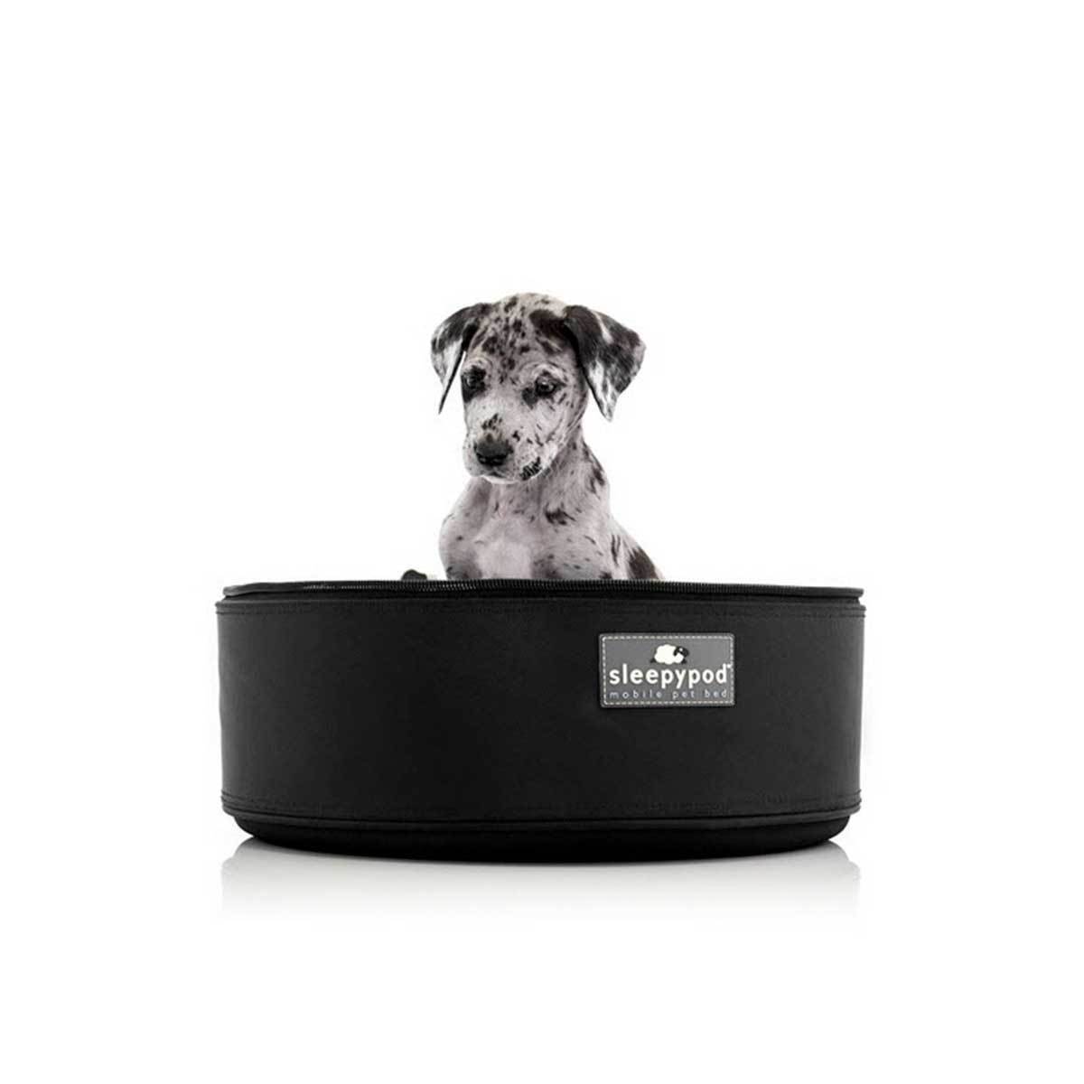Sleepypod Dog Carrier in Jet Black | Pawlicious & Company