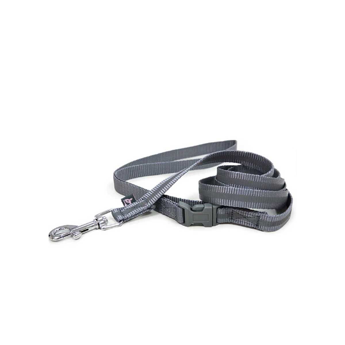 SnapGO Leash in Gray | Pawlicious & Company