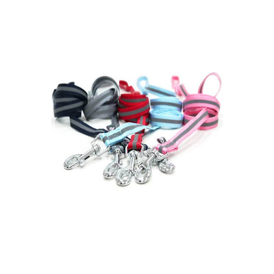 SnapGO Leash in Gray | Pawlicious & Company
