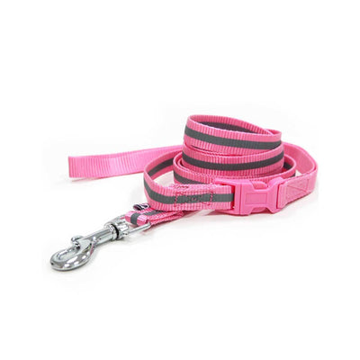 SnapGO Leash in Pink | Pawlicious & Company