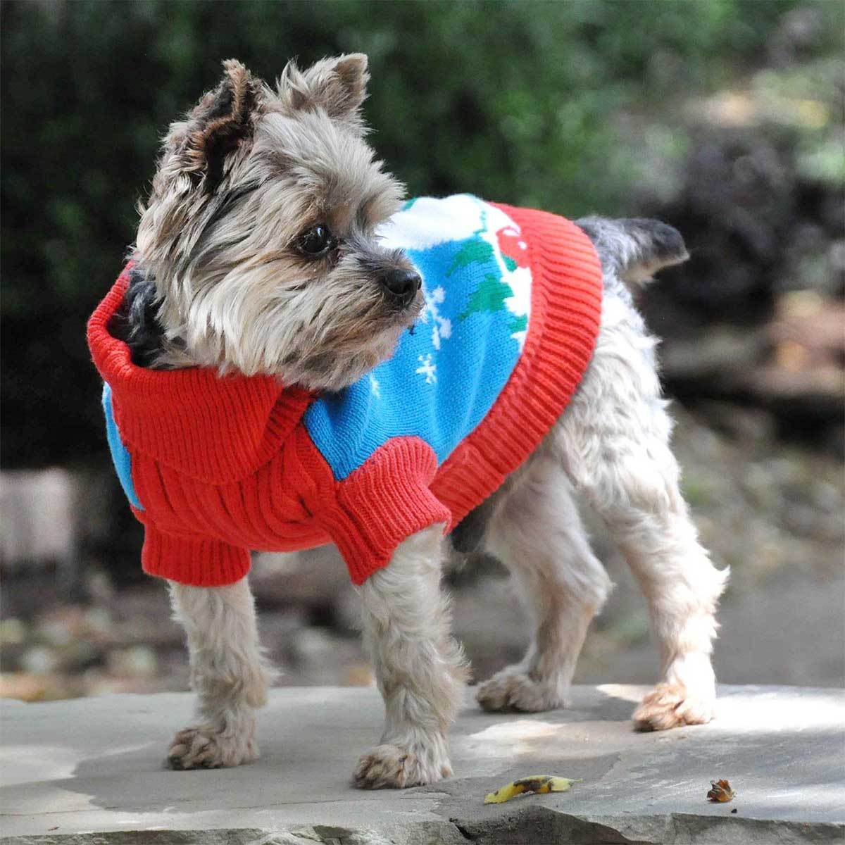 Snowman Holiday Dog Sweater | Pawlicious & Company