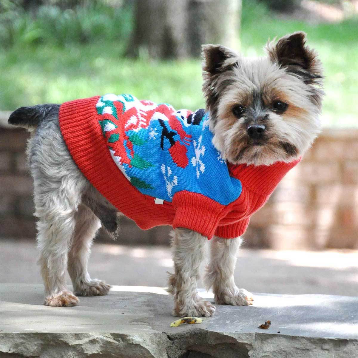 Snowman Holiday Dog Sweater | Pawlicious & Company