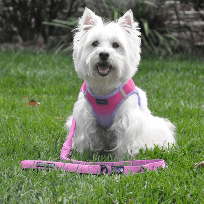 Soft Pull Traffic Dog Leash in Candy Pink | Pawlicious & Company