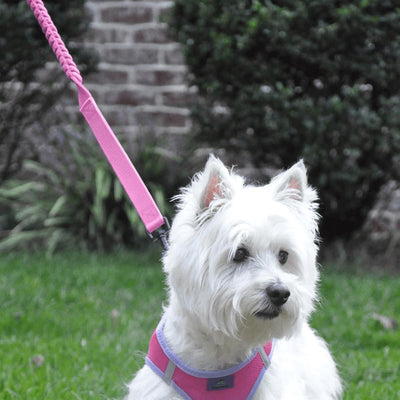 Soft Pull Traffic Dog Leash in Candy Pink | Pawlicious & Company