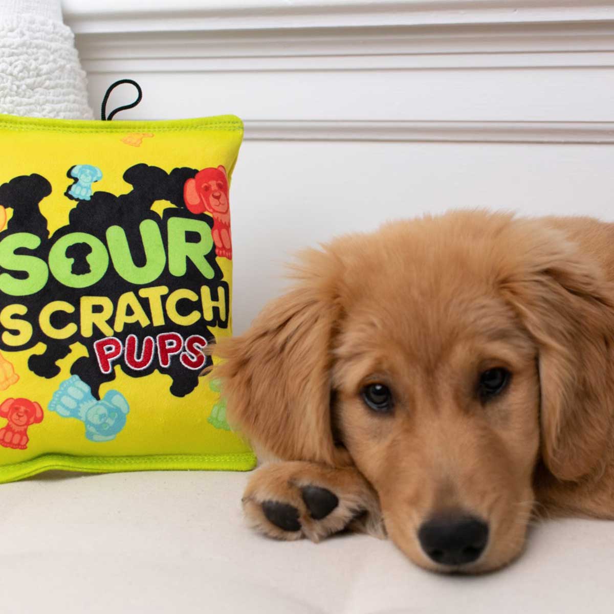 Sour Scratch Plush Dog Toy | Pawlicious & Company