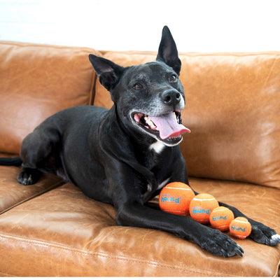 Squeaker Ballz Large | Pawlicious & Company