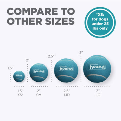 Squeaker Ballz Large | Pawlicious & Company