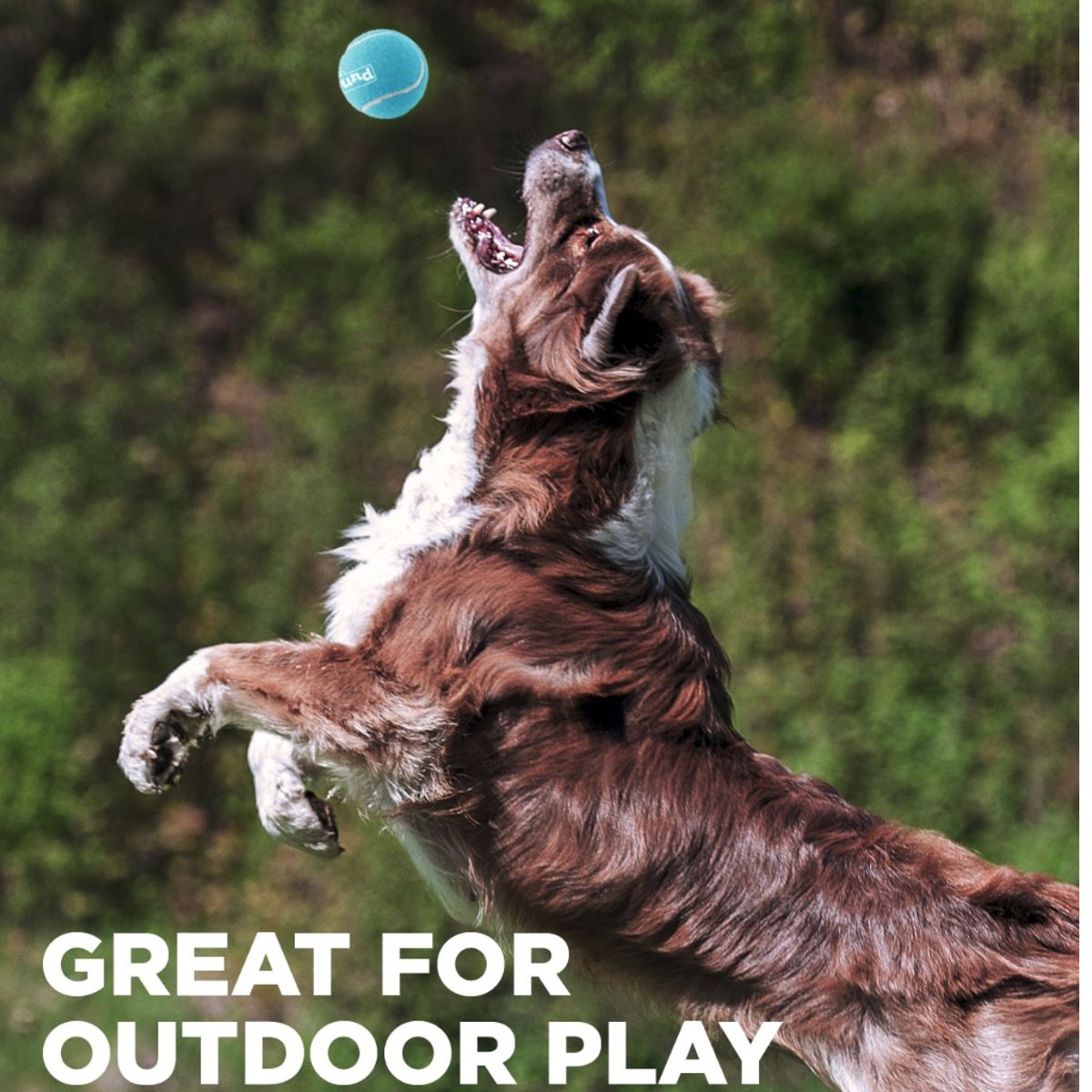 Squeaker Ballz Large | Pawlicious & Company