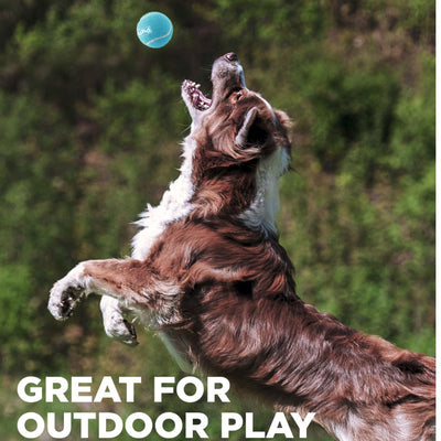 Squeaker Ballz Large | Pawlicious & Company