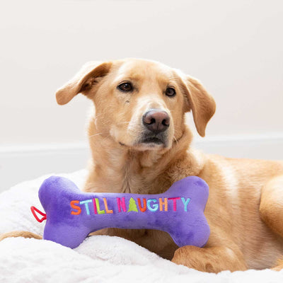 Still Naughty & Sorry Bone Dog Toy