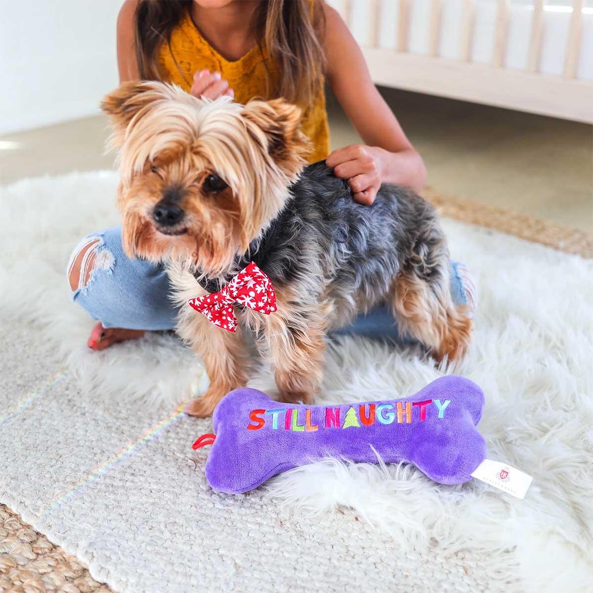 Still Naughty & Sorry Bone Dog Toy