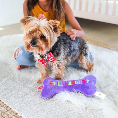 Still Naughty & Sorry Bone Dog Toy