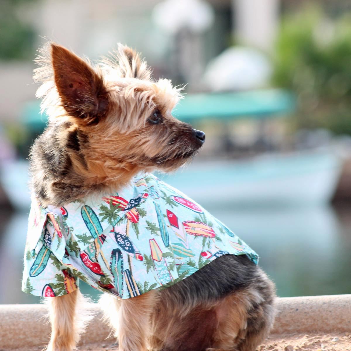 Surfboard and Palm Tree Dog Shirt | Pawlicious & Company