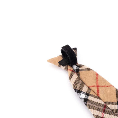 Tan Plaid Neck Tie | Pawlicious & Company