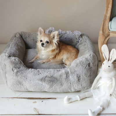The Divine Dog Bed in Gray | Pawlicious & Company