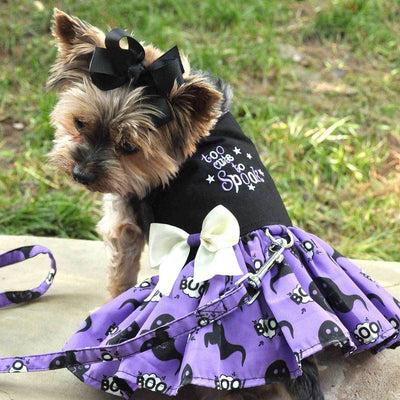 Too Cute to Spook Halloween Dog Dress | Pawlicious & Company