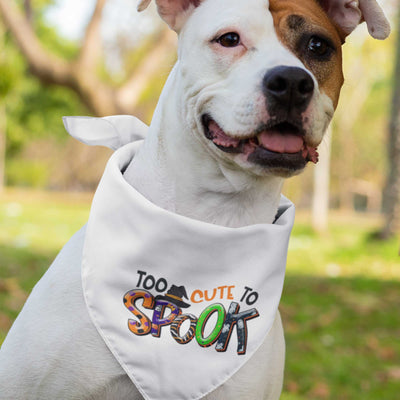 Too Cute To Spook Pet Bandana | Pawlicious & Company
