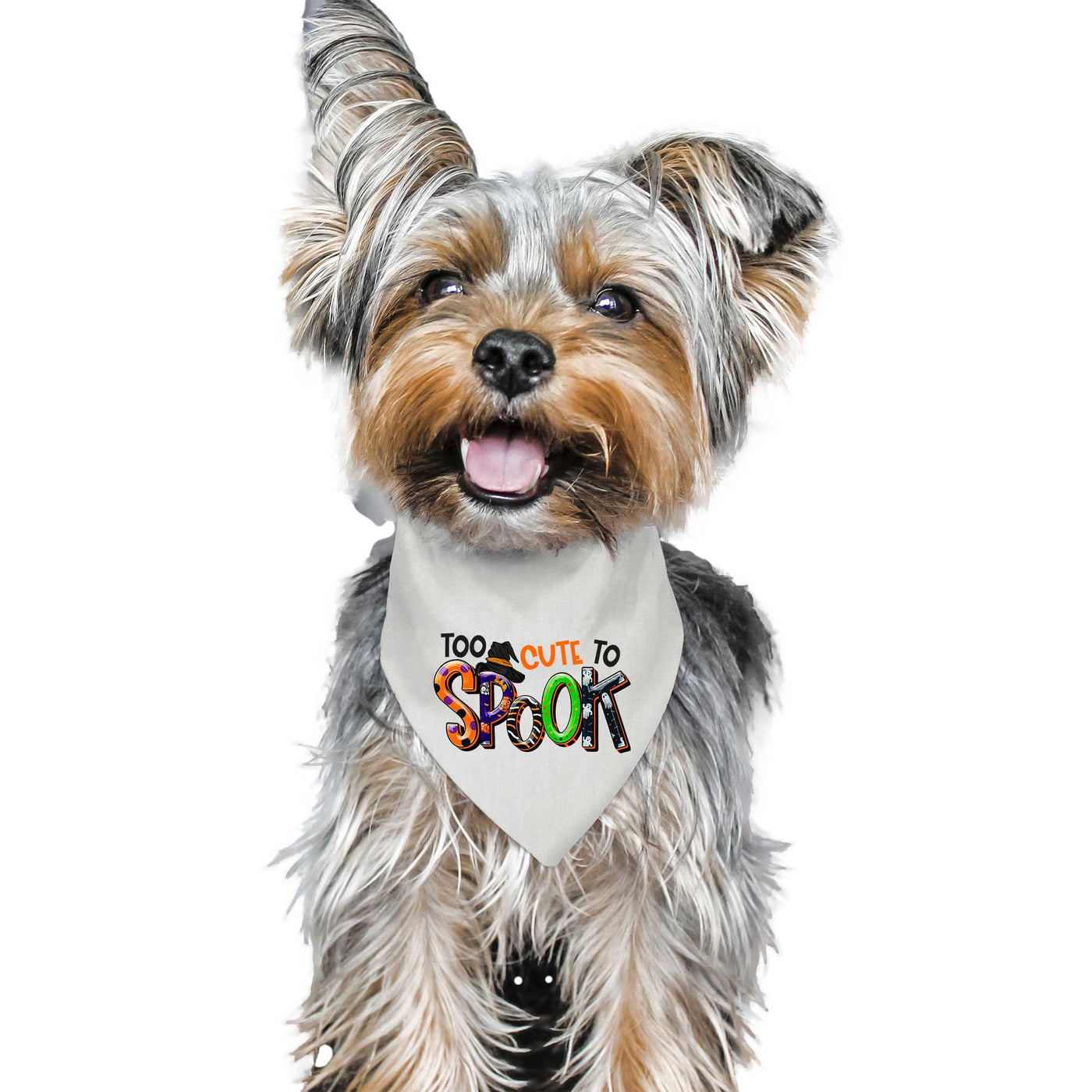 Too Cute To Spook Pet Bandana | Pawlicious & Company