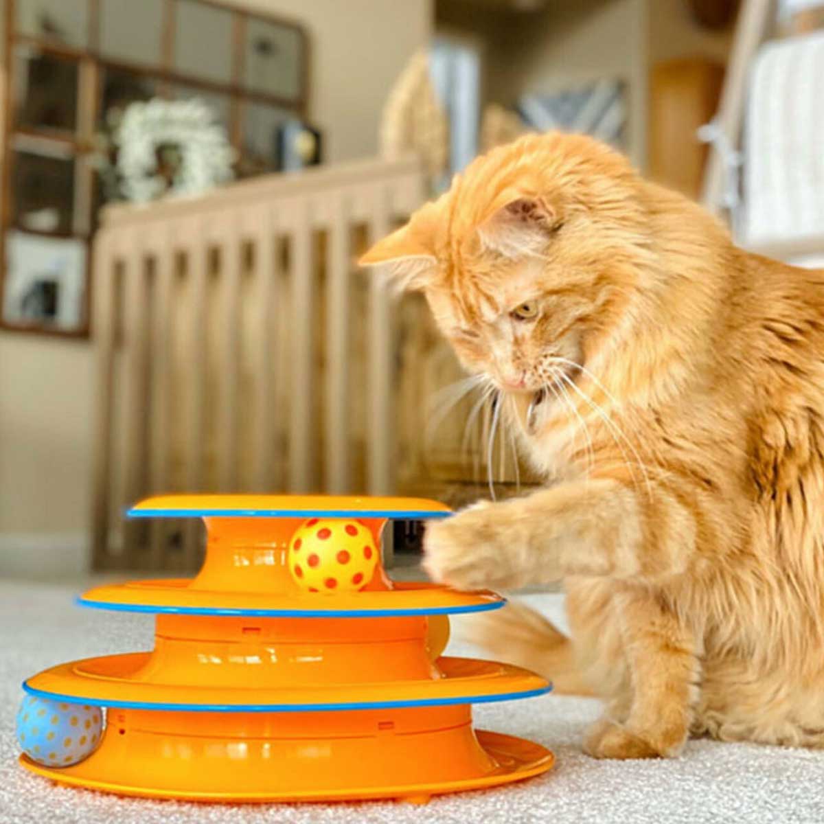 Tower of Tracks Cat Multi Level Toy | Pawlicious & Company