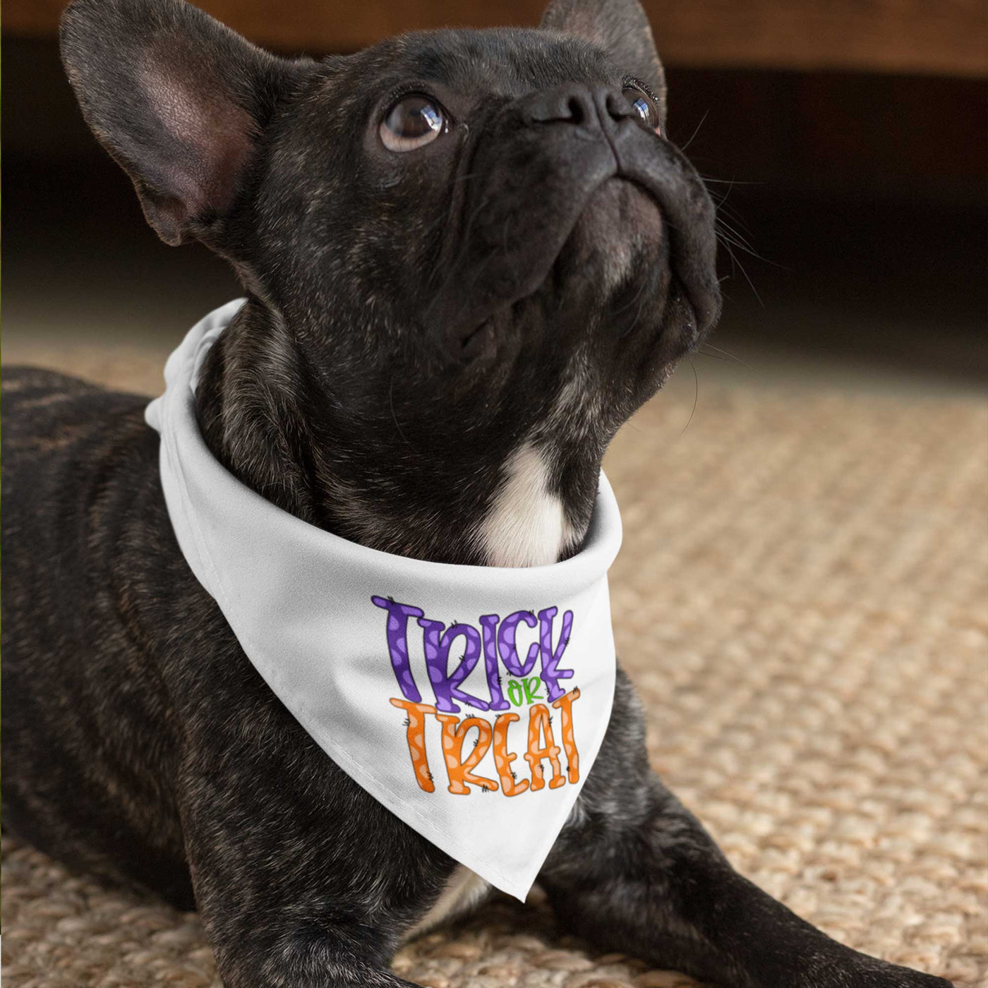 Trick or Treat Pet Bandana with Purple | Pawlicious & Company