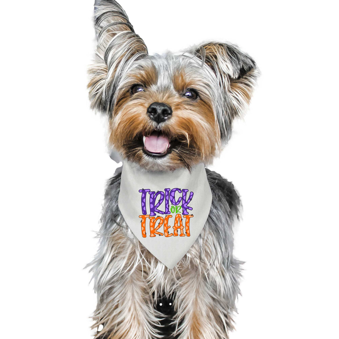 Trick or Treat Pet Bandana with Purple | Pawlicious & Company