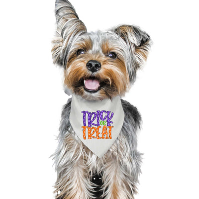 Trick or Treat Pet Bandana with Purple | Pawlicious & Company