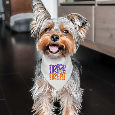 Trick or Treat Pet Bandana with Purple | Pawlicious & Company