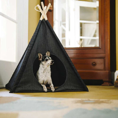 Urban Denim Pet Teepee | Pawlicious & Company