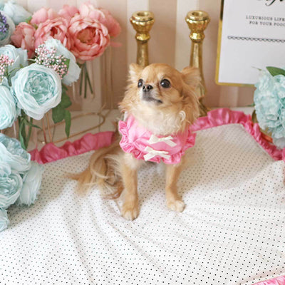 Vacay Dreaming Dress in Pink | Pawlicious & Company