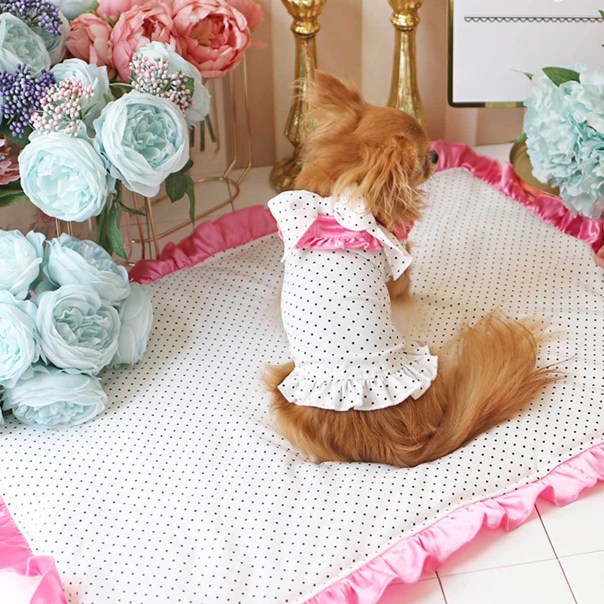 Vacay Dreaming Dress in Pink | Pawlicious & Company
