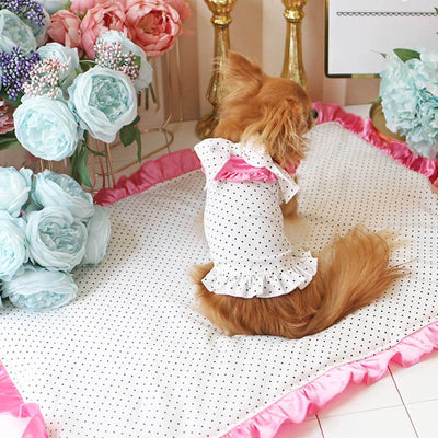 Vacay Dreaming Dress in Pink | Pawlicious & Company
