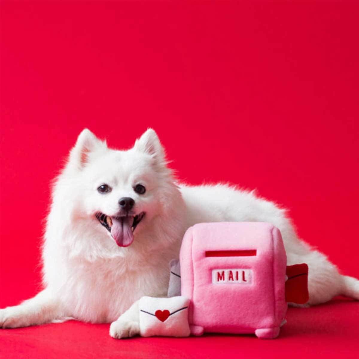 Valentines's Mailbox Burrow Puzzle Dog Toy | Pawlicious & Company