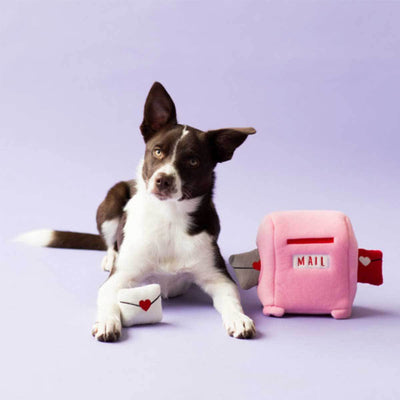 Valentines's Mailbox Burrow Puzzle Dog Toy | Pawlicious & Company