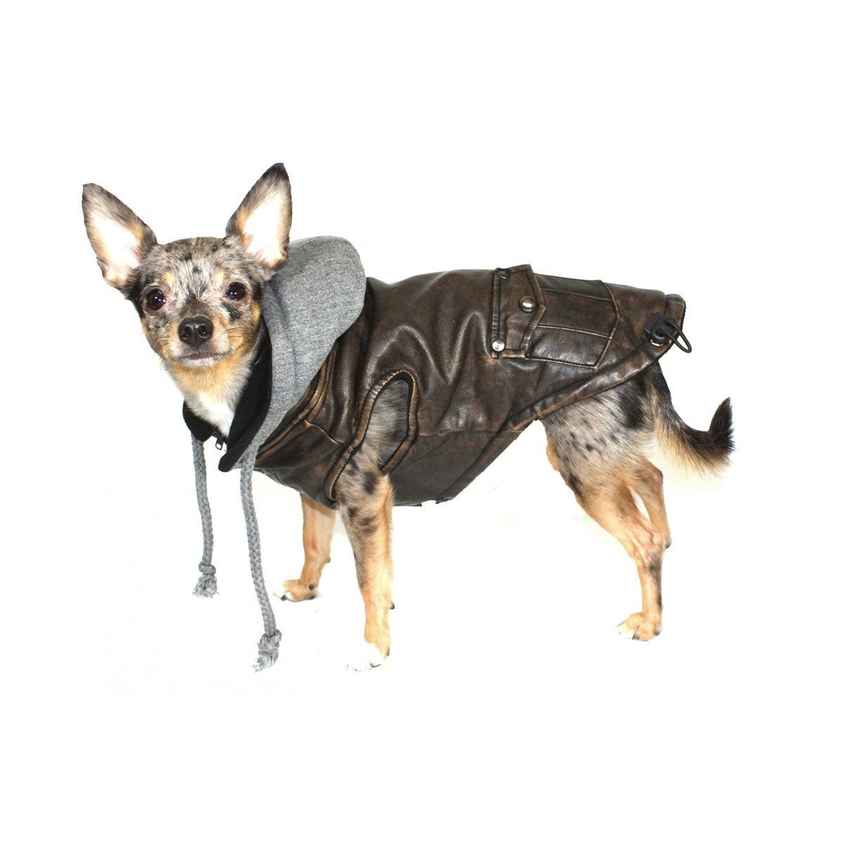 Vintage Bomber Jacket | Pawlicious & Company