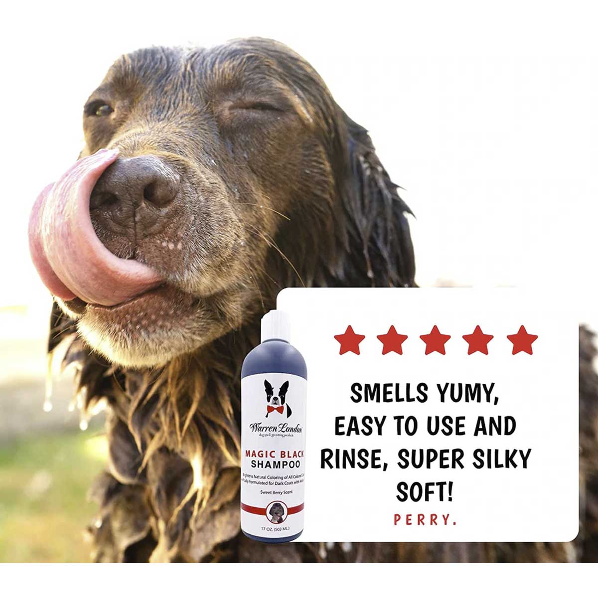 Warren London Black Magic Brightening Dog Shampoo | Pawlicious & Company