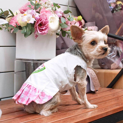 Watermelon Dog Dress | Pawlicious & Company