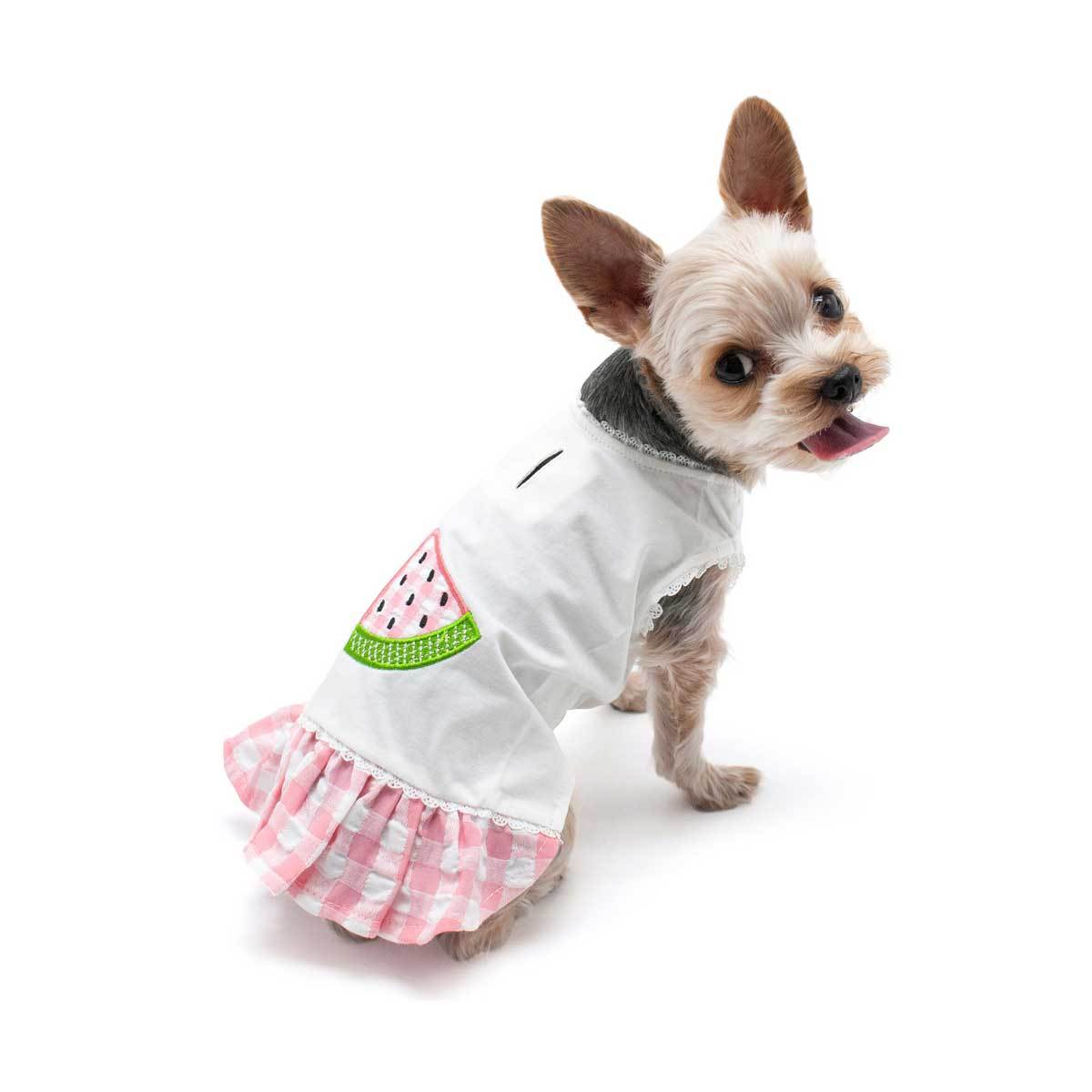 Watermelon Dog Dress | Pawlicious & Company