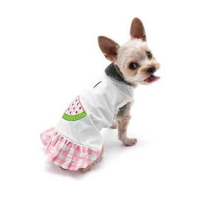 Watermelon Dog Dress | Pawlicious & Company