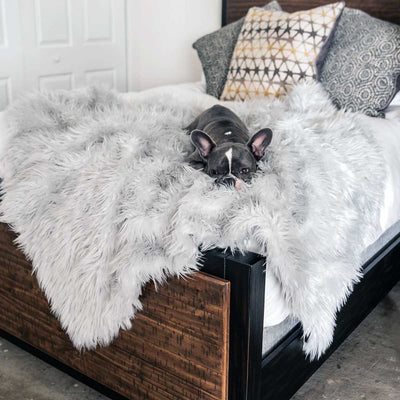 PupProtector Waterproof Throw Blanket - Gray | Pawlicious & Company