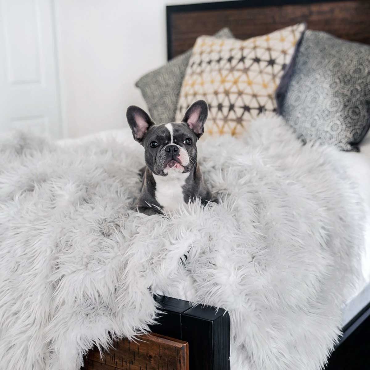 PupProtector Waterproof Throw Blanket - Gray | Pawlicious & Company