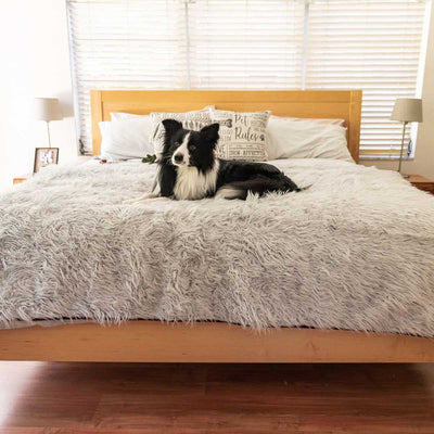 PupProtector Waterproof Throw Blanket - Gray | Pawlicious & Company