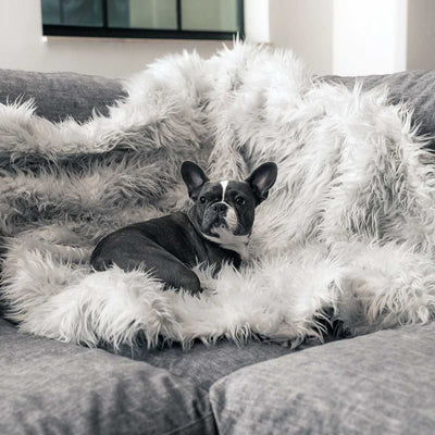 PupProtector Waterproof Throw Blanket - Gray | Pawlicious & Company