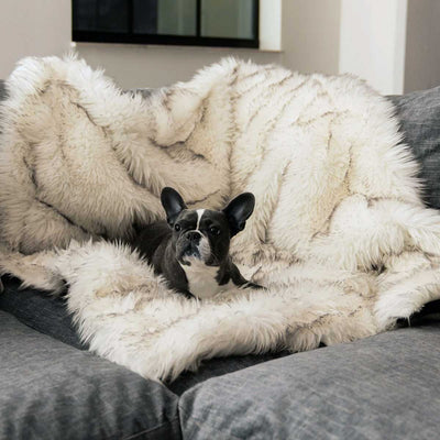 PupProtector Waterproof Throw Blanket - White w/Brown Accents | Pawlicious & Company