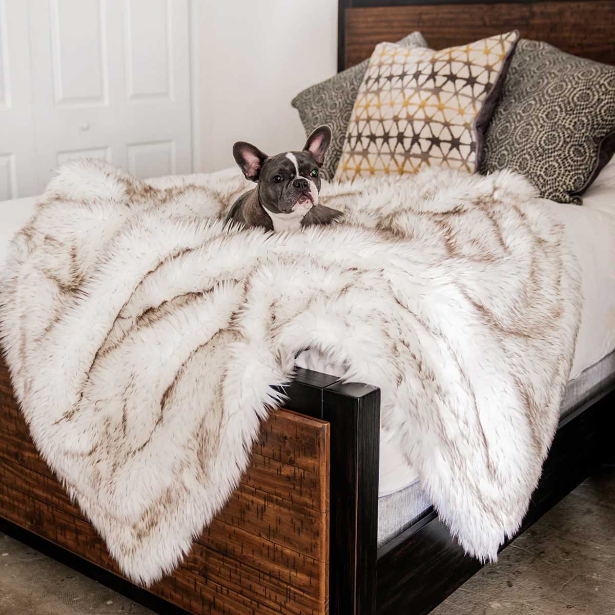 PupProtector Waterproof Throw Blanket - White w/Brown Accents | Pawlicious & Company