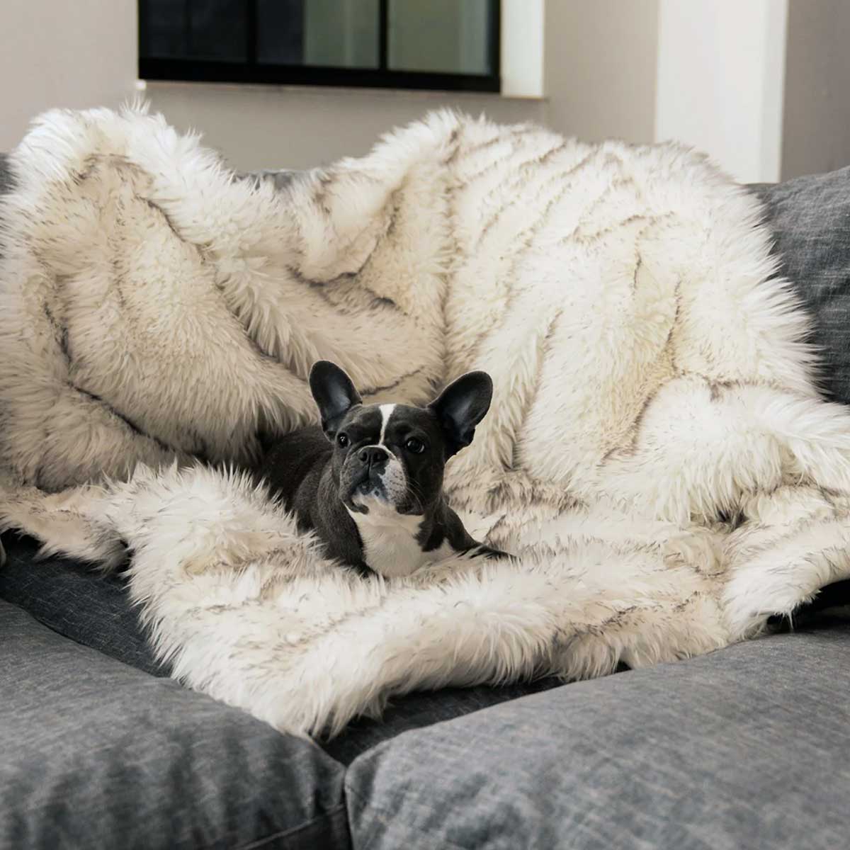 PupProtector Waterproof Throw Blanket - White w/Brown Accents | Pawlicious & Company