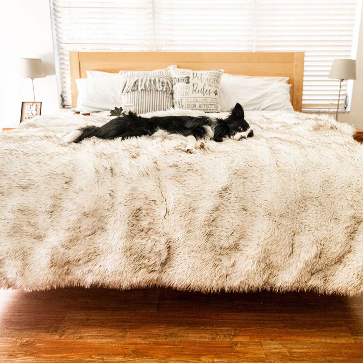 PupProtector Waterproof Throw Blanket - White w/Brown Accents | Pawlicious & Company