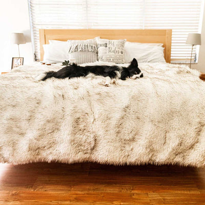 PupProtector Waterproof Throw Blanket - White w/Brown Accents | Pawlicious & Company