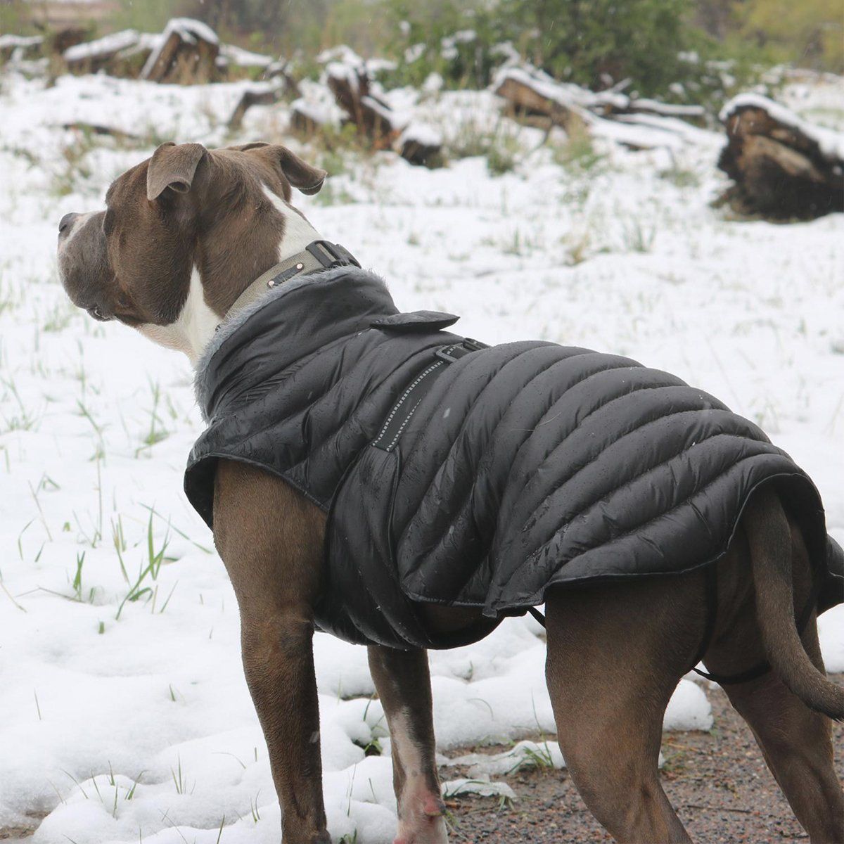 Alpine Extreme Weather Puffer Dog Coat - Black | Pawlicious & Company